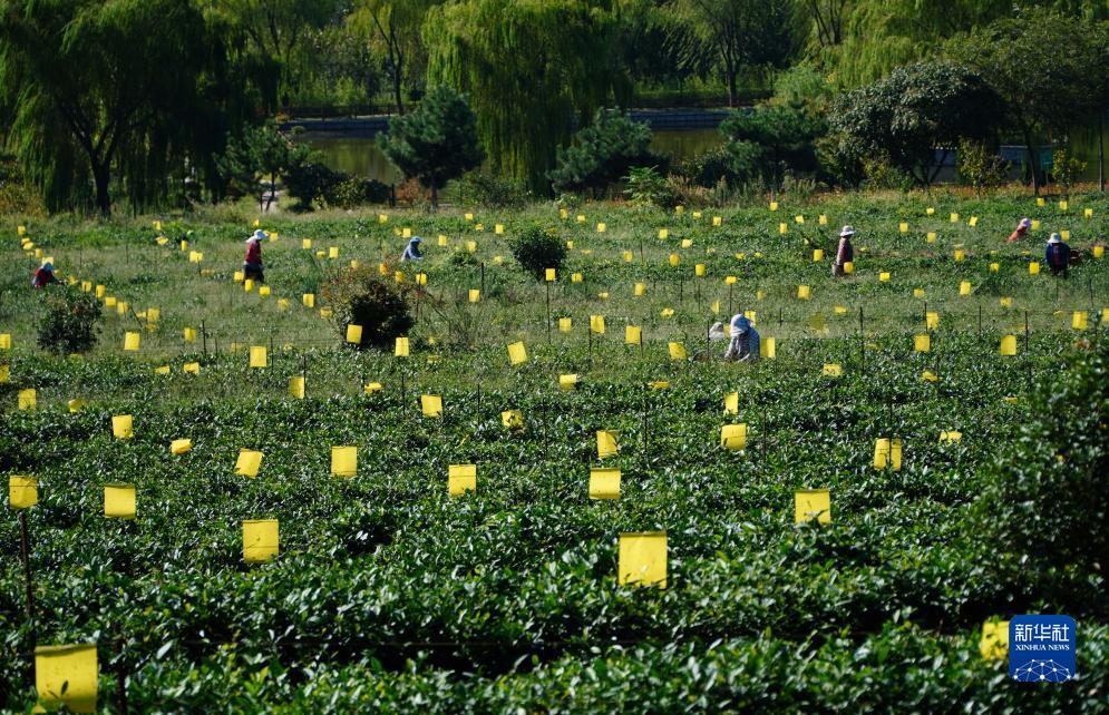 永利澳门登陆